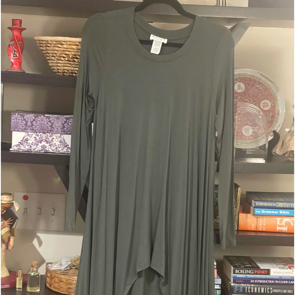 NWOT Green High-Low Tee Shirt Dress.